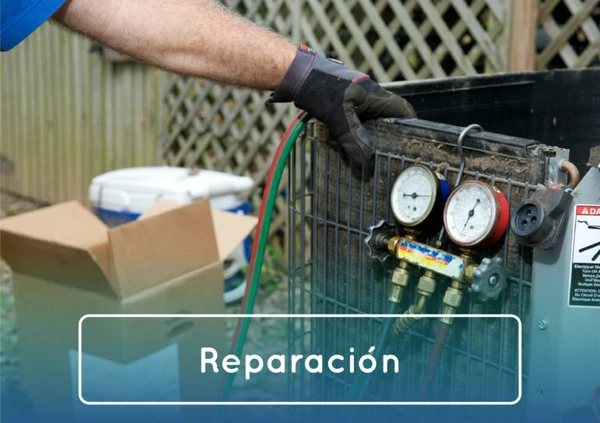 Servicio 3